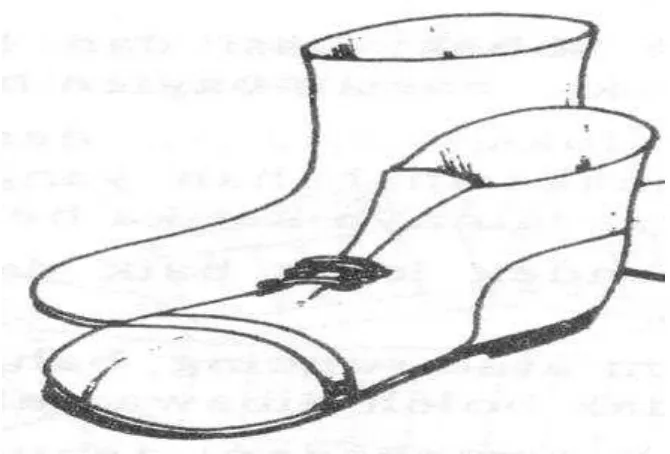 Gambar 3. Sepatu lapangan 