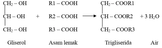 Gambar 1. Reaksi pembentukan trigliserida 