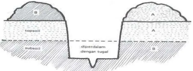 Gambar 36. Penampang melintang lubang tanam  