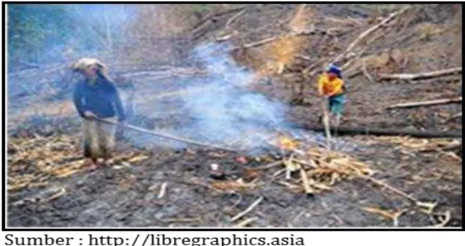 Gambar 1.  Pembukaan lahan dengan membakar lahan 