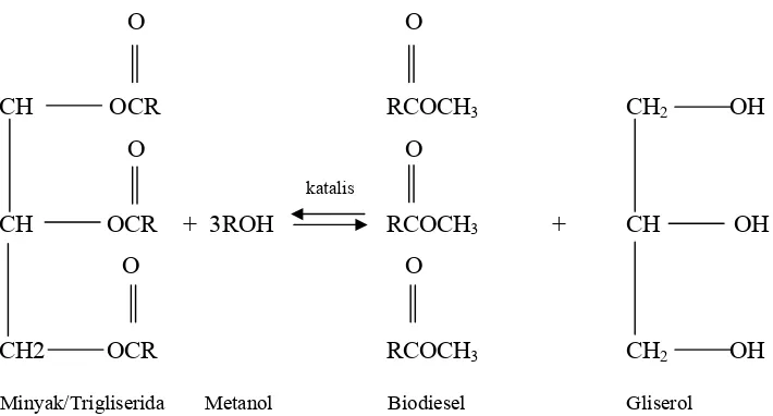 Gambar 1. Reaksi Kimia Pembentukan Biodiesel 