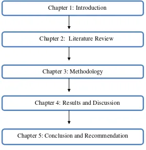 Figure 1.1: Organization of Report Dissertation 