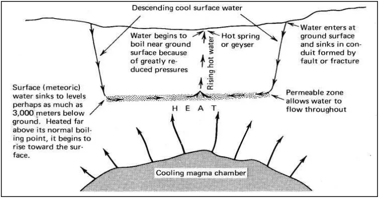 Gambar 1. Diagram Skematik Hidrothermal. 