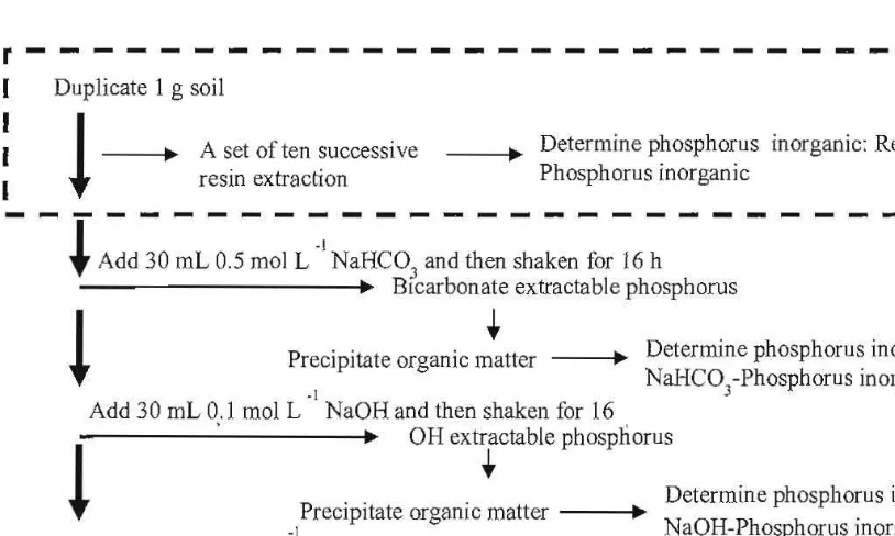 Fig. 1. Flow chart ofthe phosphorus fractionation  into various inorganic phosphorus fractions 