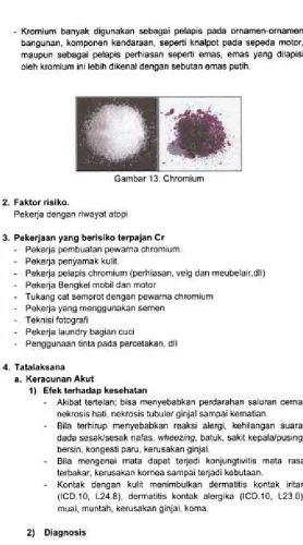 Gambar 13. Chromium