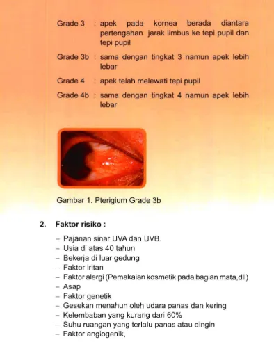Gambar 11. Pterigium Grade 3b 
