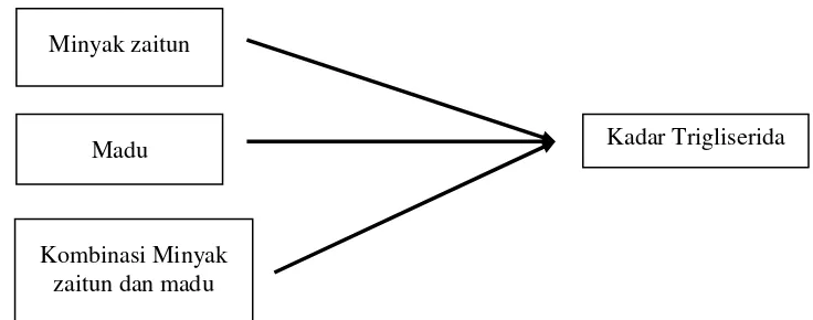 Gambar 2. Diagram alur kerangka konsep 
