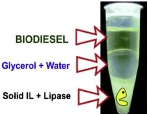 Gambar 2.5 Campuran Reaksi Biodiesel, Gliserol dan Enzim dengan IL Padat [30] 