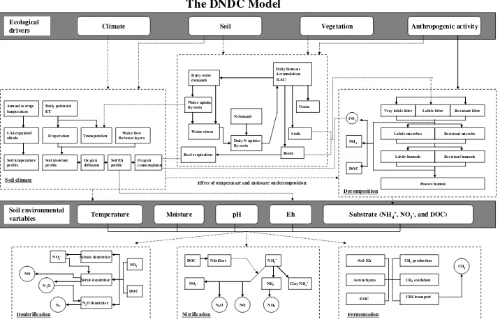 Gambar 6. Skema model DNDC 