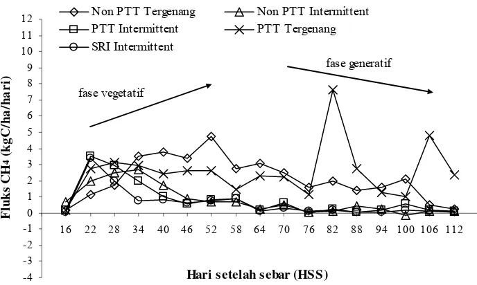 Gambar 9. Pola fluktuasi CH4 pada beberapa teknik budidaya tanaman padi 