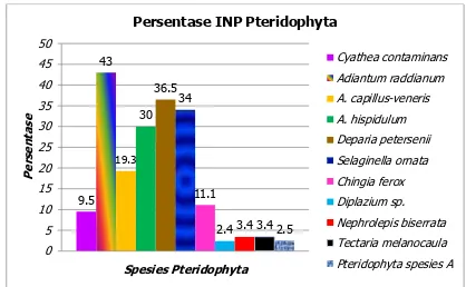Gambar 4.2 Persentase INP Pteridophyta 