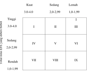 Gambar 3. Matriks Internal-Eksternal (David, 2002) 
