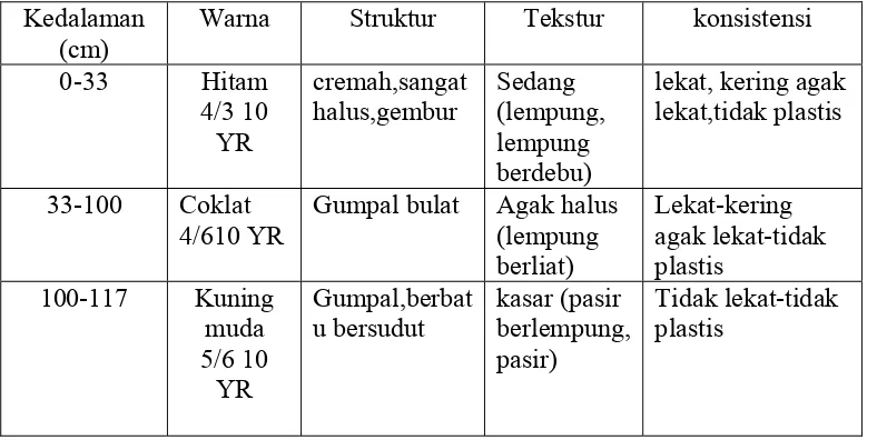 Tabel 3. Deskripsi Profil Tanah 