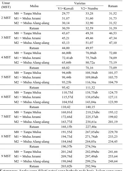 Tabel 1. Rataan tinggi tanaman (cm) terhadap varietas dan mulsa pada umur 2-9 MST.  