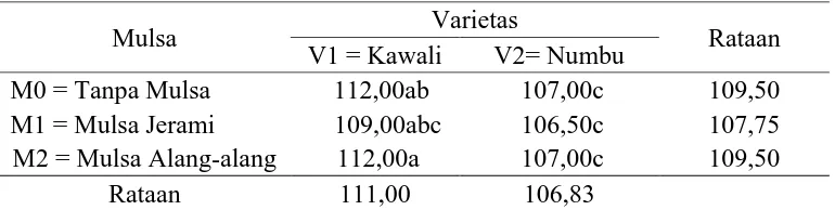 Tabel 4. Rataan umur panen (hari) terhadap varietas dan mulsa  