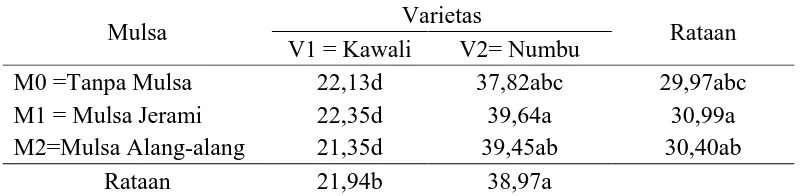 Tabel 8.Rataan bobot 1000 biji (g) terhadap varietas dan mulsa. 