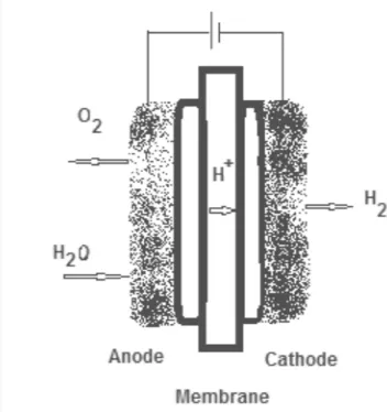 Figure 3: P: Proton exchange membrane (PEM) electrolysis  