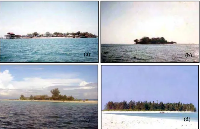 Gambar 8. Pulau-pulau kecil di Kota Makassar (a) Pulau Kayangan,  (b) Pulau Samalona, (c) Pulau Kodingareng Keke, dan  (d) Pulau Lanyukang (DKKP, 2007b) 