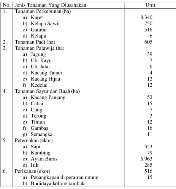 Tabel 9  Jenis Tanaman dan Luas Lahan  Pertanian  yang    Diusahakan di  Desa Toman, Kecamatan Babat Toman, Provinsi Sumatera Selatan 