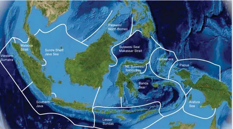Figure 1.   Map showing the twelve Indonesian marine ecoregions as defined in the Marine Ecoregions of the World(MEOW) classification scheme; redrawn from Spalding et al