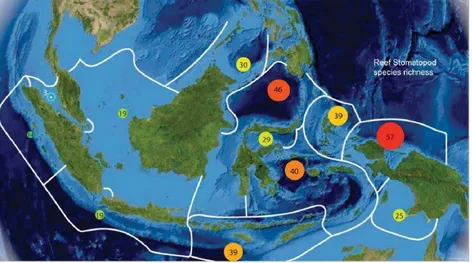 Figure 3. Reef-associated stomatopod species richness per ecoregion. Numbers within circles represent the number ofreef associated stomatopod species known from that ecoregion (M.V