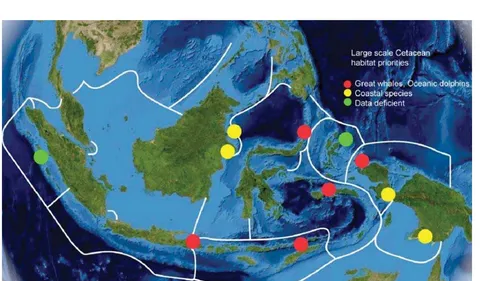 Figure 8. Areas of special concern for oceanic and coastal cetaceans. Red circles indicate areas of special concern forgreat whales and oceanic dolphins; yellow circles for coastal cetaceans, and green circles indicate data-deficient areasthat are nonethel