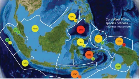 Gambar 2. Peta yang menunjukkan kekayaan jenis ikan karang (diperkirakan berdasarkan tumpang susun petapenyebaran lebih dari 3.900 jenis ikan karang) dan keendemikan (data survei  langsung) di tiap ekoregion