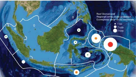 Gambar 4. Keendemikan regional dan ekoregion stomatopoda yang berasosiasi dengan terumbu karang padamasing-masing ekoregion