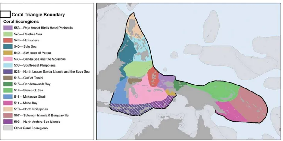 Gambar 6. Peta Ekoregion Karang yang ditetapkan dalam Coral Geographic (Veron dkk. data tidak dipublikasiwww.coralreefresearch.org)