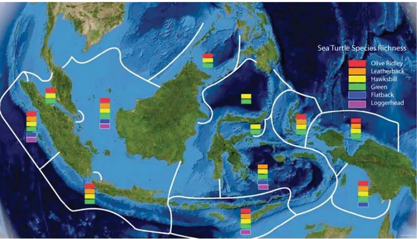 Gambar 9. Keragaman penyu di ekoregion laut di Indonesia (M. Halim, T. Hitipeuw, Guswindia, K