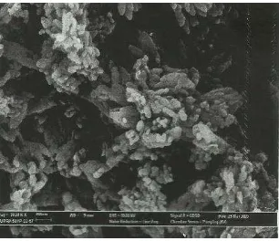Figure 1 - figure 7 shows the Scanning electron  microscope (SEM) images of the precipitated calcium carbonate particle of different concentration