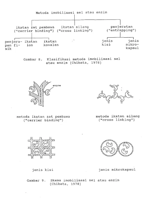Gambar 8. Klasifikasi metoda imobilisasi sel 