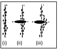 Figure 2.1: Behaviour of the ants [3]. 