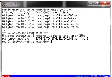 Gambar 4.7. Hasil capture paket data ICMP dari client ke-10 melalui aplikasi Wireshark 