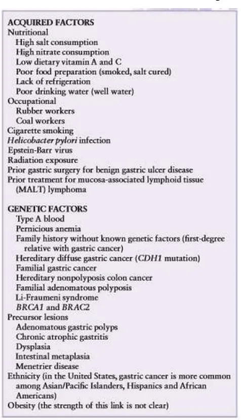 Tabel 2.2. Faktor Risiko Kanker Lambung. 