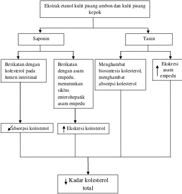 Gambar 1. Pengaruh  saponin dan tanin terhadap metabolisme kolesterol (Khyade and Vaikos, 2009; Choudhary, 2013; Supriadi, 2011; Okorondu et al, 2012; Okechukwu et al, 2012) 