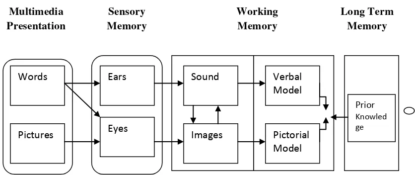 Gambar 2.1. Model proses kontrol pemrosesan informasi (Meyer 2009:  68) 