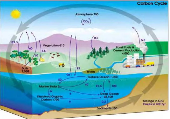 Gambar  1.     Diagram dari Siklus Karbon Global  