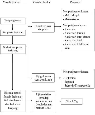 Gambar 1.1 Skema kerangka pikir penelitian 