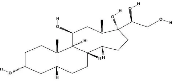 Gambar 4.1 Struktur Estrone, Hexanoat (Anonima, 2009) 