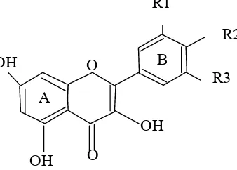 Gambar 3. Struktur Flavonol pada Alpinia sp (Rusmarilin, 2003). 