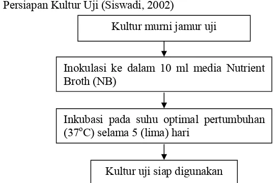 Gambar 8. Bagan Persiapan Kultur Uji (Siswadi, 2002) 