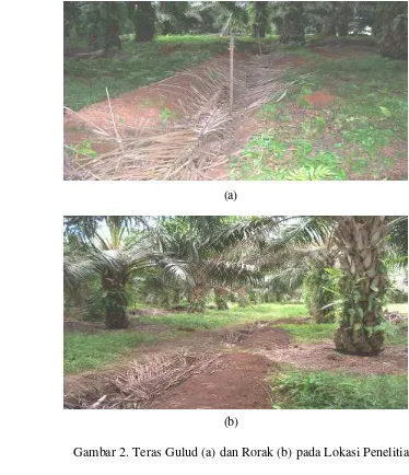 Gambar 2. Teras Gulud (a) dan Rorak (b) pada Lokasi Penelitian 
