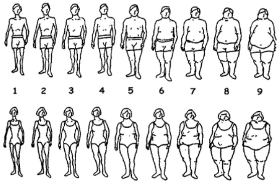 Gambar 1  Siluet Persepsi Body Image (Stunkard 1983) 