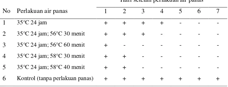Tabel 1  Pengaruh perlakuan air panas terhadap pertumbuhan planlet nanas selama 7 hari setelah perlakuan air panas 