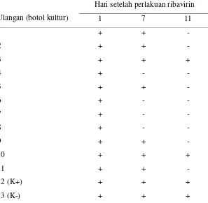 Tabel 2  Pengaruh perlakuan ribavirin terhadap pertumbuhan planlet nanas selama 11 hari setelah perlakuan ribavirin 