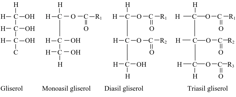 Gambar 2.3 Gliserida; monoasil, diasil, dan triasil gliserol 