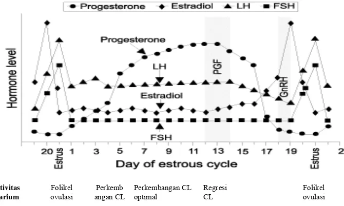 Gambar 5  Aktivitas hormonal dan ovarium babi betina (Coffey et.al 2007)  