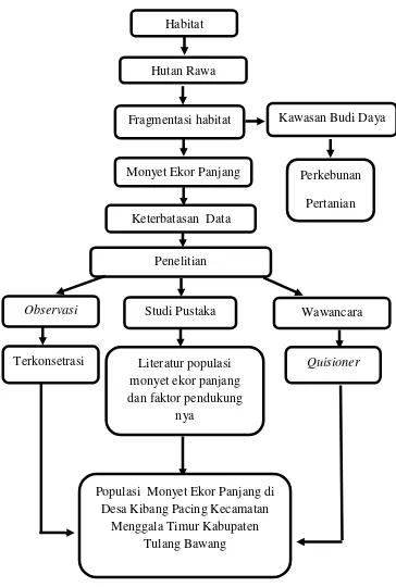 Gambar 1. Diagram alir kerangka penelitian analisis populasi monyet ekor Panjang di Desa Kibang Pacing Kecamatan Menggala Timur Kabupaten Tulang Bawang
