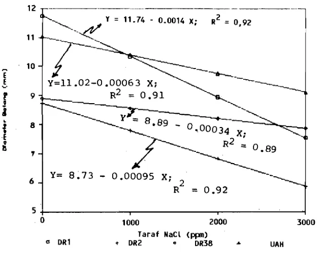Gambar 1.  Tanggap Diameter Batang varietas DR 1, DR2, DR38 dan UA H 